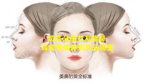 切耳朵给女友隆鼻 耳软骨隆鼻切耳朵哪里